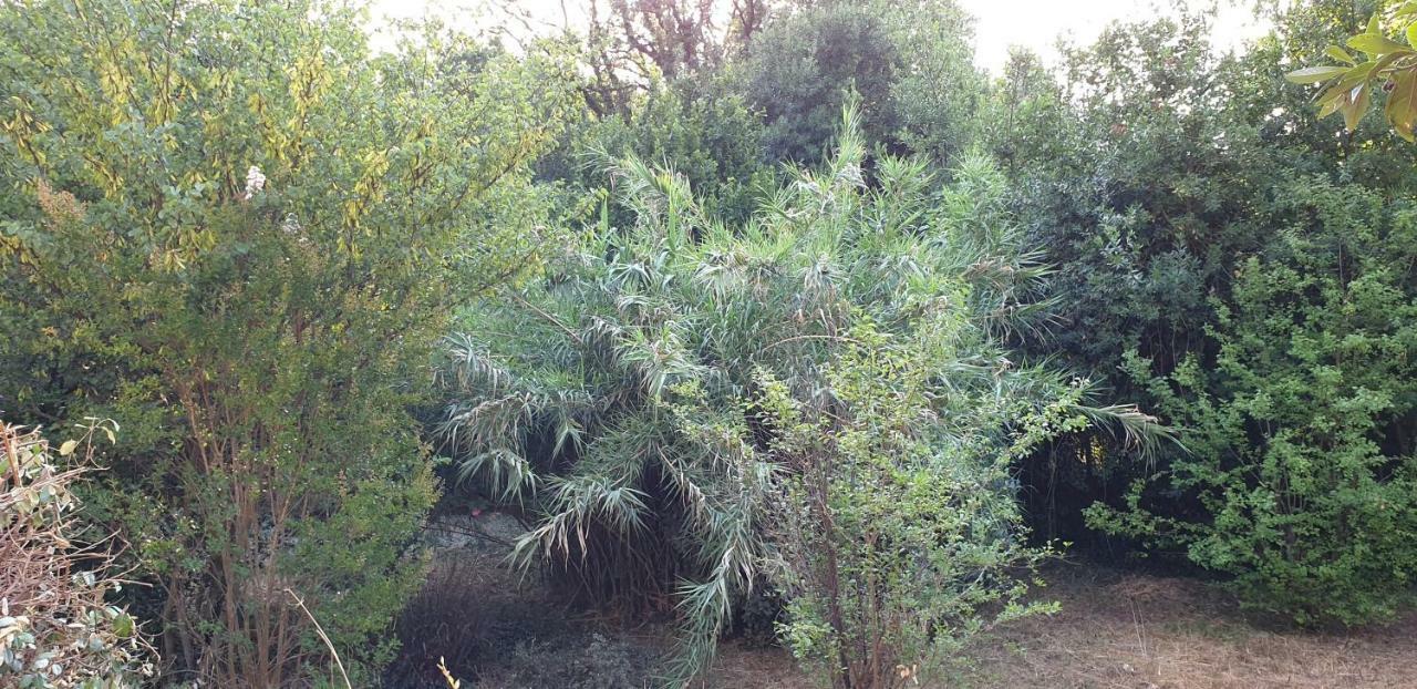La Teze Βίλα Le Castellet  Εξωτερικό φωτογραφία
