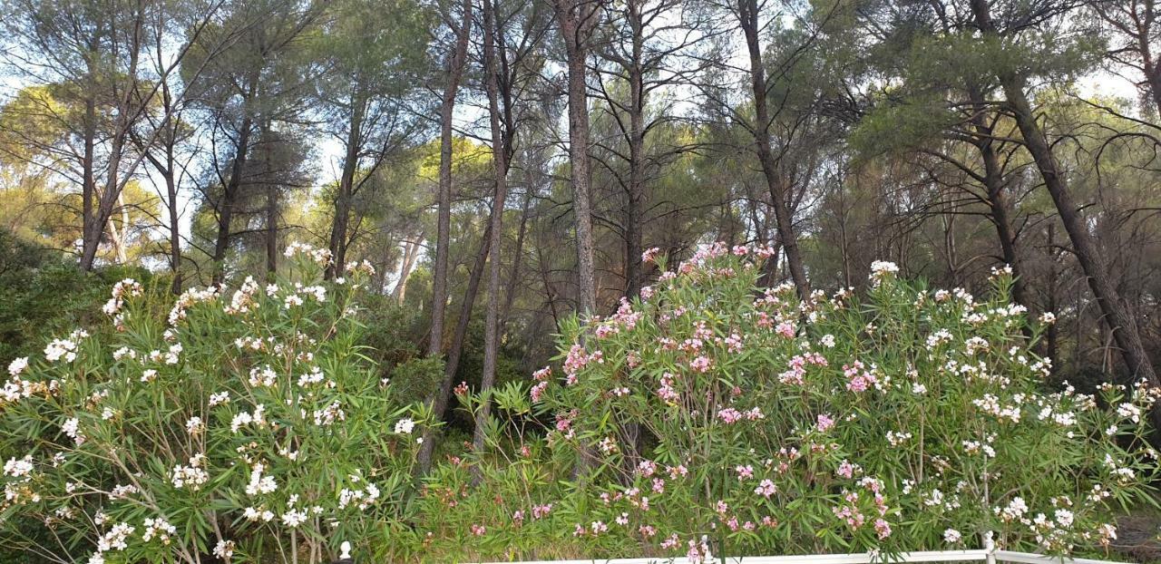 La Teze Βίλα Le Castellet  Εξωτερικό φωτογραφία